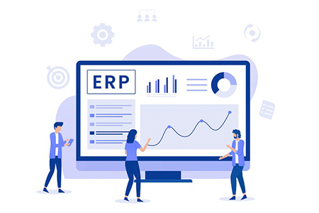 erp-development